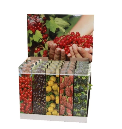 Fruit Mix 9cm