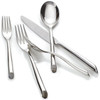 Nambe Frond 18/10 Stainless Steel 5pc. Place Setting (Service for One)