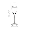 Riedel Sommeliers Handmade Fine Crystal Vintage Champagne Glass