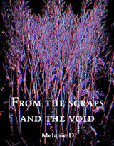 From the Scraps and the Void - Chapbook announcement