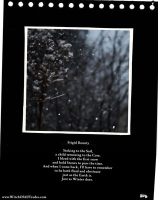 Winter Poem Collection: Part 1