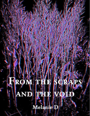 From the Scraps and the Void - Chapbook announcement