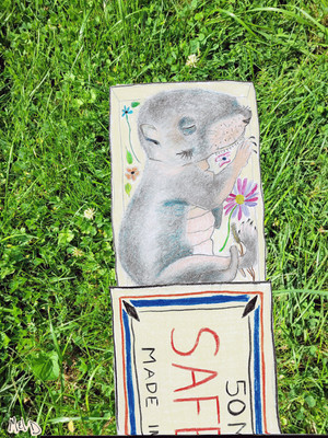 ​  Squirrel in a Matchbox