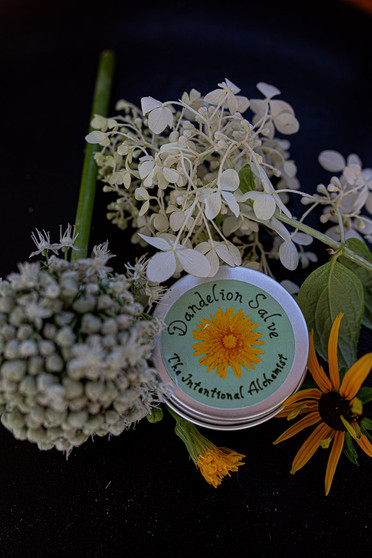 Dandelion Salve