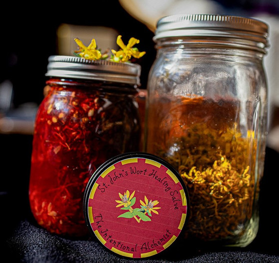 St John's Wort Healing Salve