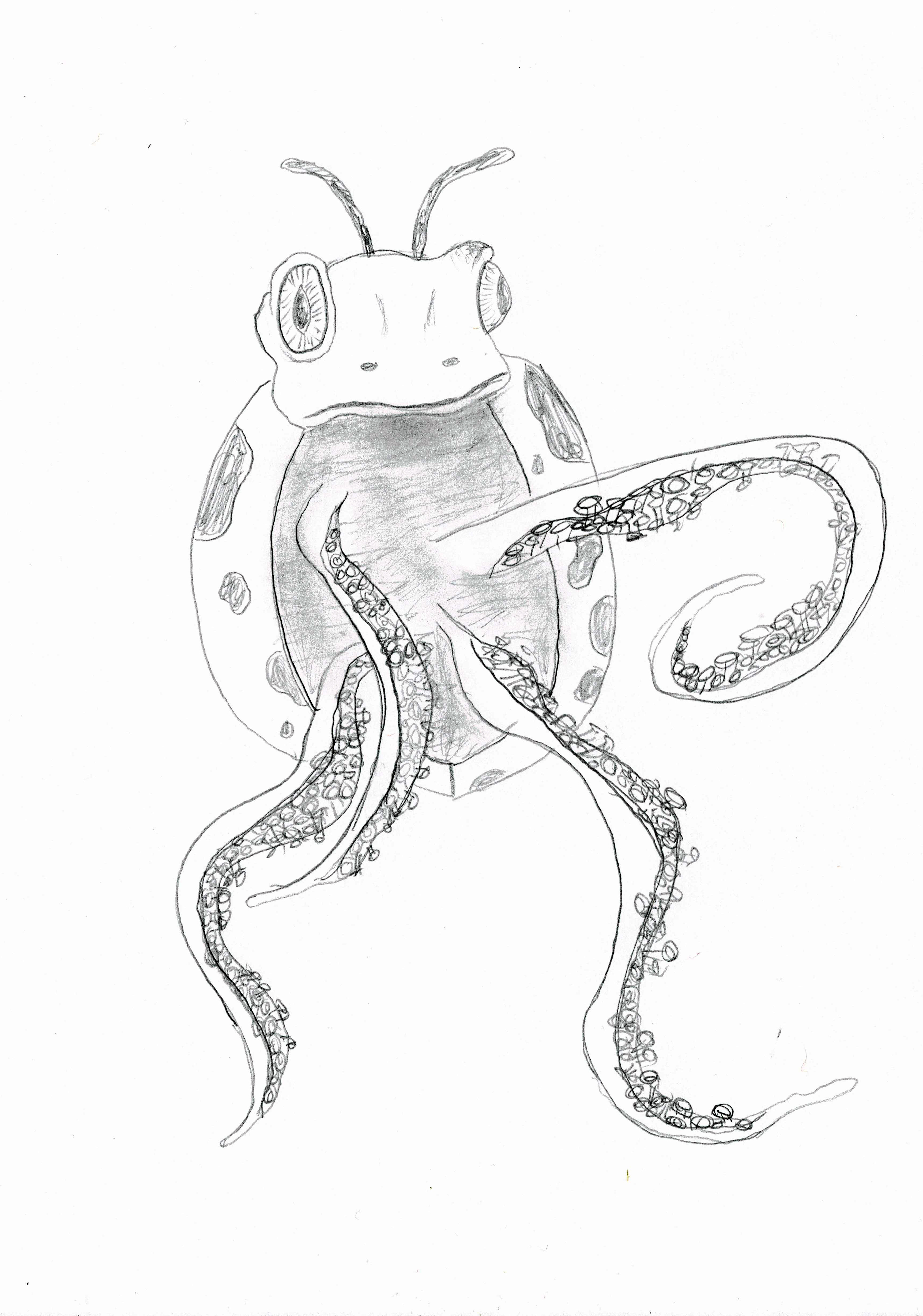 treefrogtopus-1.jpg