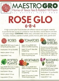 Rose Glo (6-8-4) by Maestro Gro at Twin Oaks