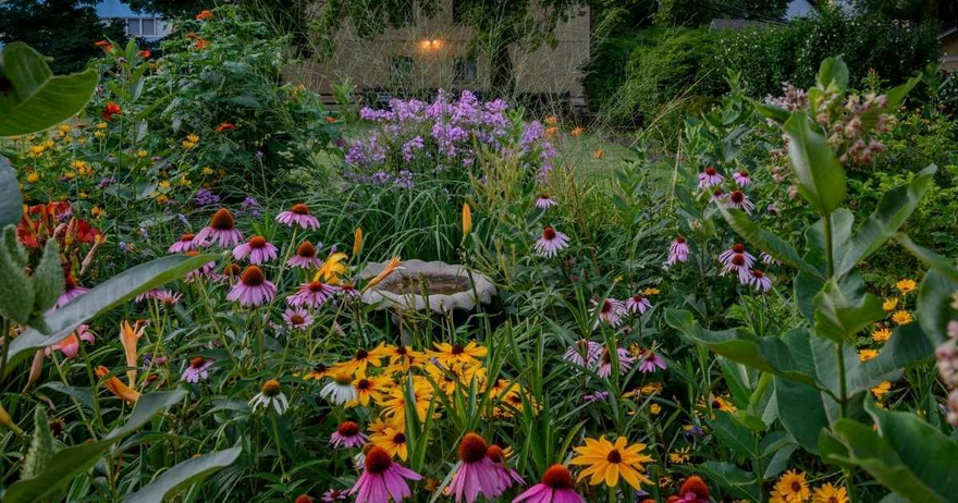 Native Landscape Plants Native Landscape Plants