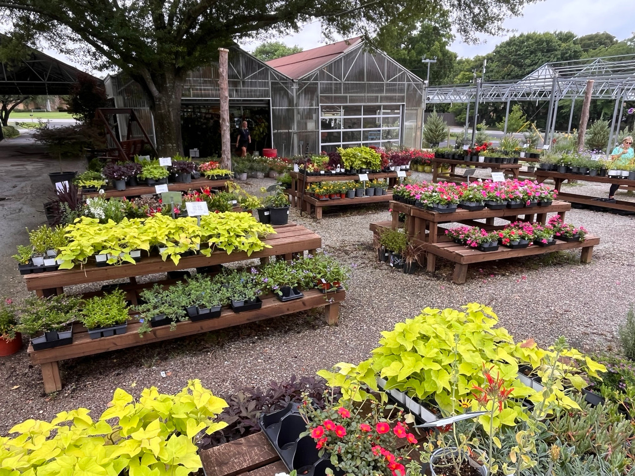 Annual and Perennial Area