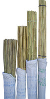Natural Bamboo Stake