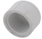 Cap - PVC - Threaded made by Lasco here at Twin Oaks Nursery & Supply