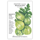 Summer Squash Seeds