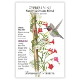 Cypress Vine Seeds