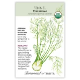Fennel Seeds