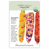 Sweet Corn Seeds