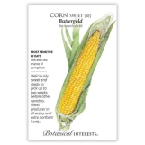 Sweet Corn Seeds