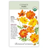 Cosmos Seeds