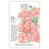 Cosmos Seeds