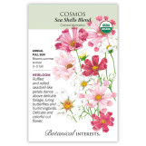 Cosmos Seeds