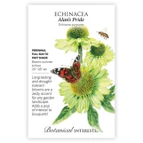 Echinacea Seeds