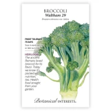 Broccoli Seeds
