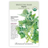 Broccoli Seeds