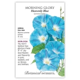 Morning Glory Seeds made by Botanical Interests here at Twin Oaks Nursery & Supply