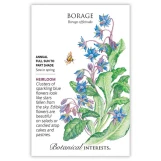 Borage Seeds made by Botanical Interests here at Twin Oaks Nursery & Supply