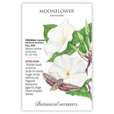 Moonflower Seeds made by Botanical Interests here at Twin Oaks Nursery & Supply