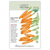 Carrot Seeds