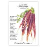Carrot Seeds