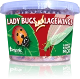 Lady Bugs & Lacewings made by Organic Control here at Twin Oaks Nursery & Supply