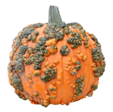 Pumpkins
