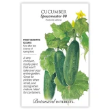 Cucumber Seeds