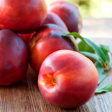 Nectarine Trees – Twin Oaks Nursery & Supply Online