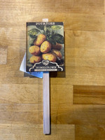 Vintage Garden Marker