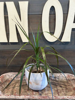 Granit Flow Terra Cotta Planter