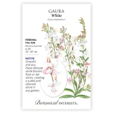 Guara Seeds made by Botanical Interests here at Twin Oaks Nursery & Supply