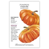 Pumpkin Seeds