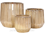 King Planter