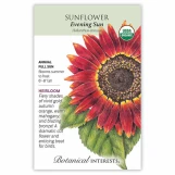 Sunflower Seeds