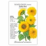 Sunflower Seeds