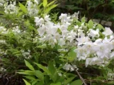  Vend Uncategorized Twin Oaks Nursery & Supply