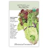 Lettuce Seeds