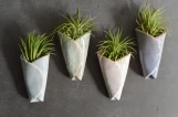 Air Plant Pottery Cone made by here at Twin Oaks Nursery & Supply