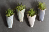 Air Plant Pottery Cone