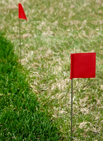 Marking Flags - 18" Marking Flags - 18"