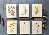 Plantable Seed Card with Envelope- Assorted Designs made by here at Twin Oaks Nursery & Supply
