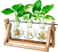 Propagation Station