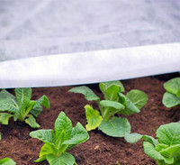 N-Sulate Frost Blanket made by Dewitt here at Twin Oaks Nursery & Supply